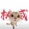 羊肉串抖音达人头像