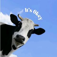 疯狂奶牛🐮抖音达人头像