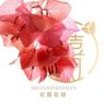 欢囍花园·三角梅抖音达人头像