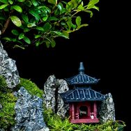 山水_微景观抖音达人头像