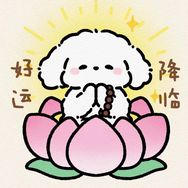 妮儿Jenny抖音达人头像