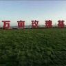 山东日照万亩玫瑰基地抖音达人头像