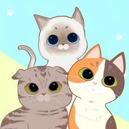 三脚猫抖音达人头像