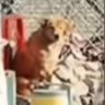 莲梅情报站抖音达人头像