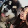我有一只熊版阿拉斯加（玲姐家）抖音达人头像