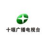 十堰广播电视台抖音达人头像