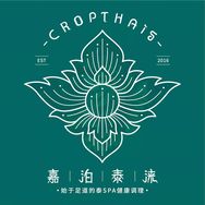 嘉泊泰涞抖音达人头像