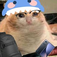 猫meme小鲨抖音达人头像