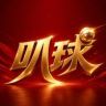 叭球-解说员阿汤1抖音达人头像