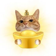 鼻嘎一家🐱抖音达人头像