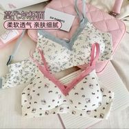 顺兴臻选店抖音达人头像