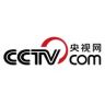 央视网抖音达人头像