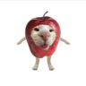 苹果猫meme日记抖音达人头像