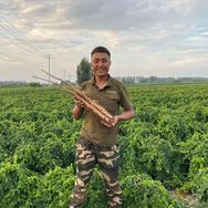 小波修地球抖音达人头像