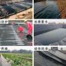 诺莱生态绿化工程有限公司官方号抖音达人头像