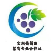 宝利葡萄苗繁育合作社抖音达人头像