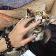 往后余生抖音达人头像