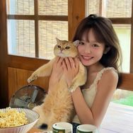 人参和醋不相逢抖音达人头像