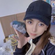 阿楠手养鹦鹉抖音达人头像