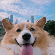 mmmmnbvcxz抖音达人头像