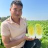 田间小地头抖音达人头像