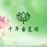 普兰店·千年古莲园抖音达人头像