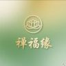 禅福缘抖音号头像