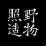 照野造物抖音达人头像