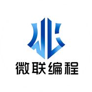 微联编程抖音达人头像