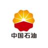 中国石油抖音达人头像