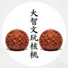 大智文玩核桃抖音达人头像