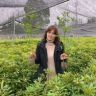 都江堰市洋洋树木种植场的小店抖音达人头像