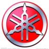大帅摩托车行（个体工商户）抖音达人头像