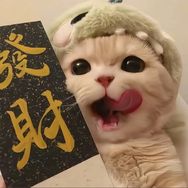华喵喵宠物-宠猫阁抖音达人头像