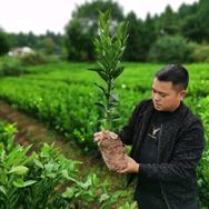 简阳市鑫嘉益苗木种植专业合作社694企业店抖音达人头像