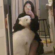 龙离谱抖音达人头像