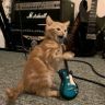 音幕抖音达人头像