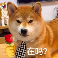婷潮好物抖音达人头像