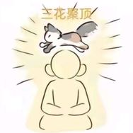 三花动漫社抖音达人头像