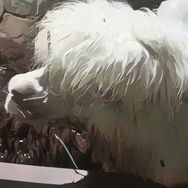 神奇小查抖音达人头像
