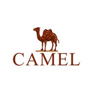 骆驼户外登山旗舰店抖音号头像