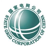 国家电网抖音达人头像