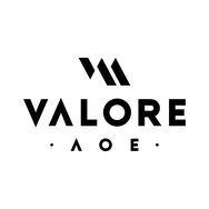VALORE AOE奥义骑行装备专卖店抖音达人头像