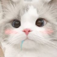 自然醒抖音达人头像