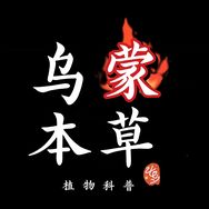 三农幺哥抖音达人头像
