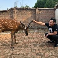 帝尊九宝方（守方人）抖音达人头像