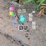 蚂蚁老六抖音达人头像