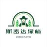 斯密达绿植抖音达人头像