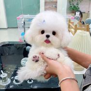 37866925536抖音达人头像