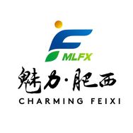 魅力肥西✨抖音达人头像